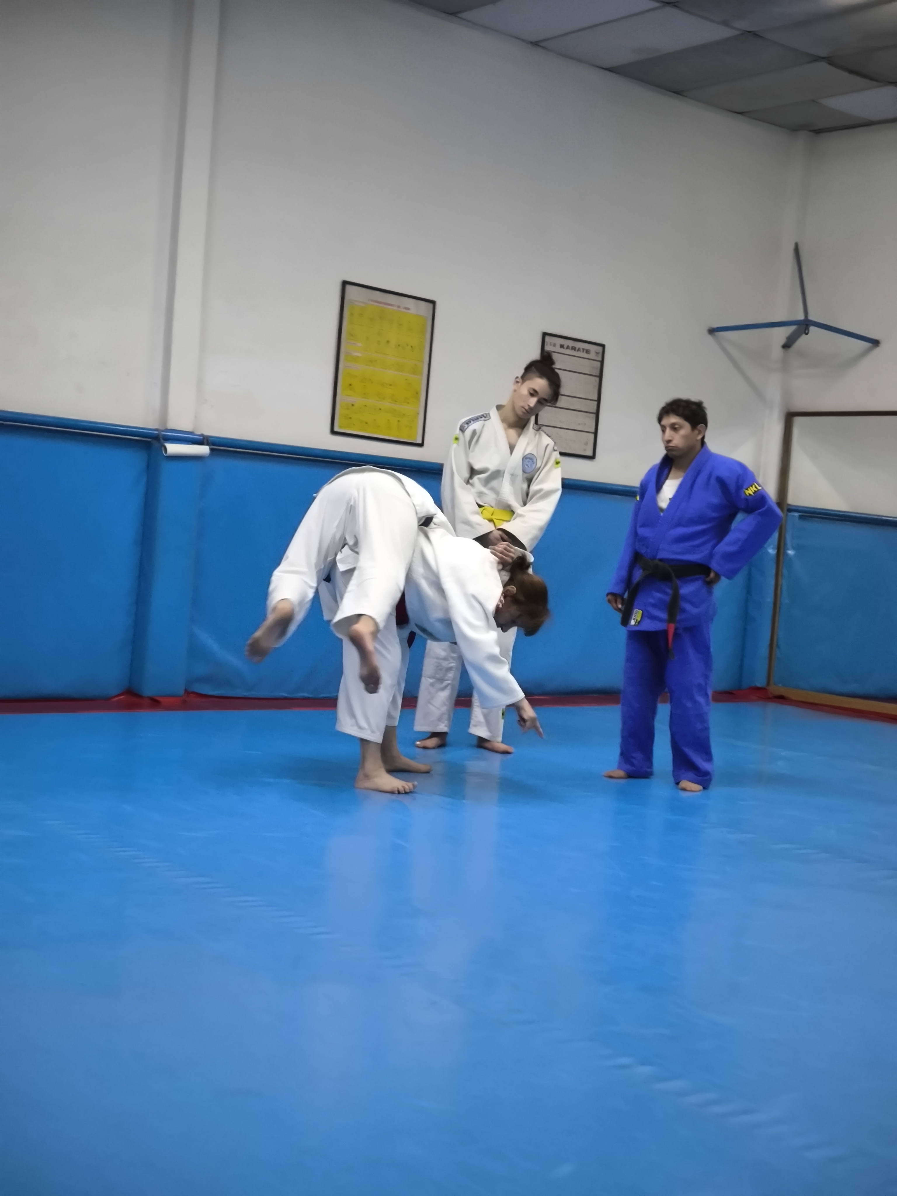 Judo en Club Budokan